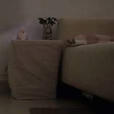 Motion Sensor LED Night Light